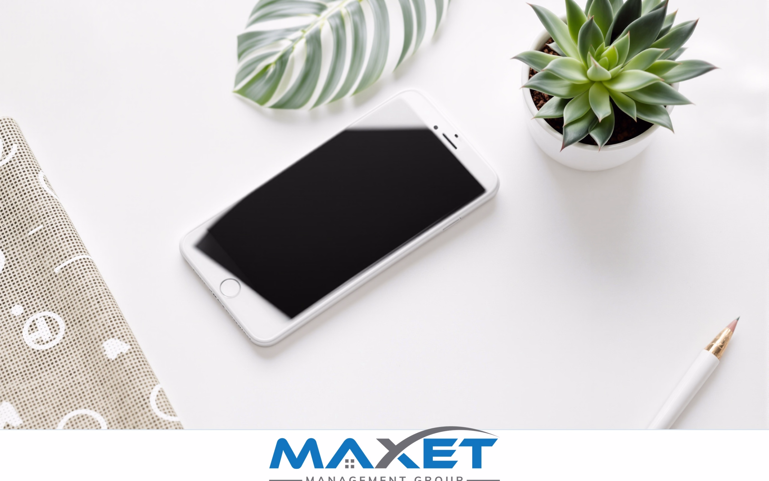 Smartphone, succulent plant, and ceramic bowl representing owner communication readiness on white surface